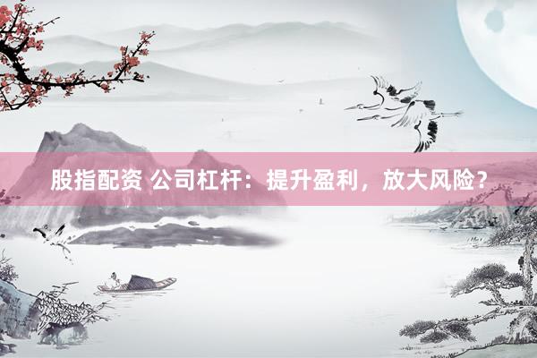 股指配资 公司杠杆：提升盈利，放大风险？