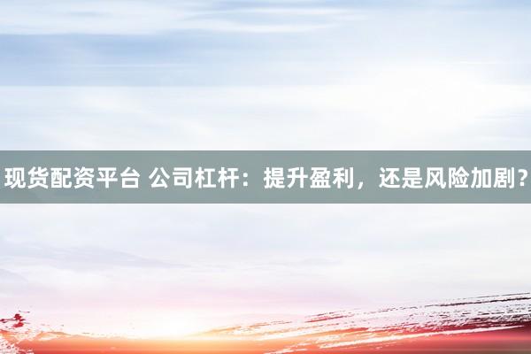 现货配资平台 公司杠杆：提升盈利，还是风险加剧？
