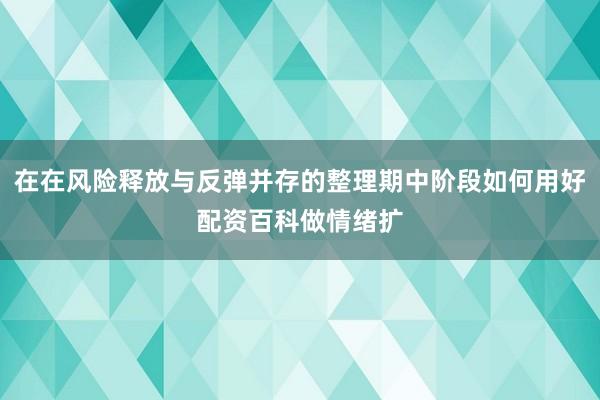 在在风险释放与反弹并存的整理期中阶段如何用好配资百科做情绪扩