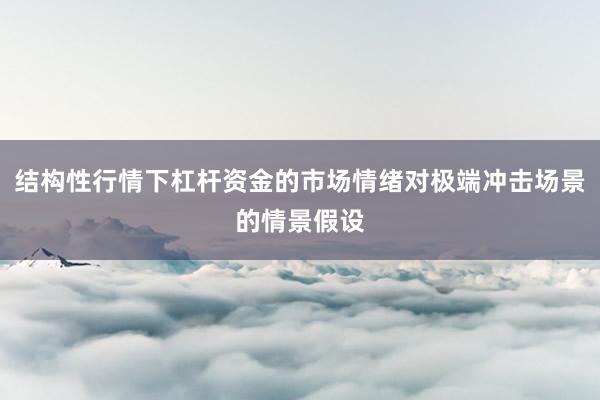 结构性行情下杠杆资金的市场情绪对极端冲击场景的情景假设