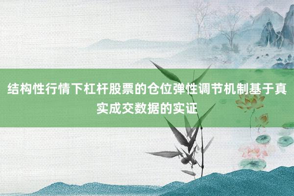 结构性行情下杠杆股票的仓位弹性调节机制基于真实成交数据的实证