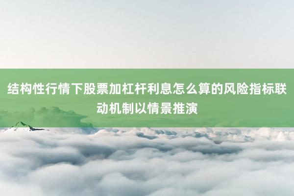 结构性行情下股票加杠杆利息怎么算的风险指标联动机制以情景推演